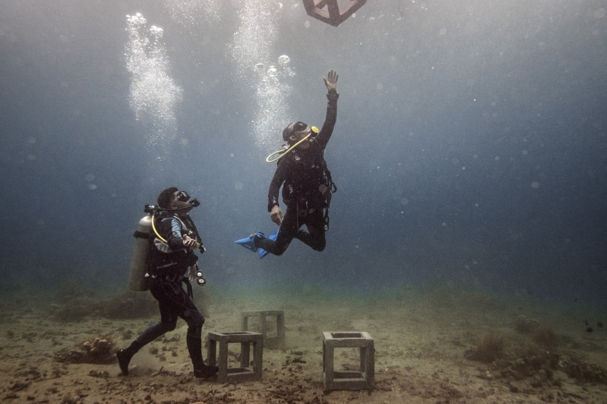 Divers installing concrete structures for coral restoration