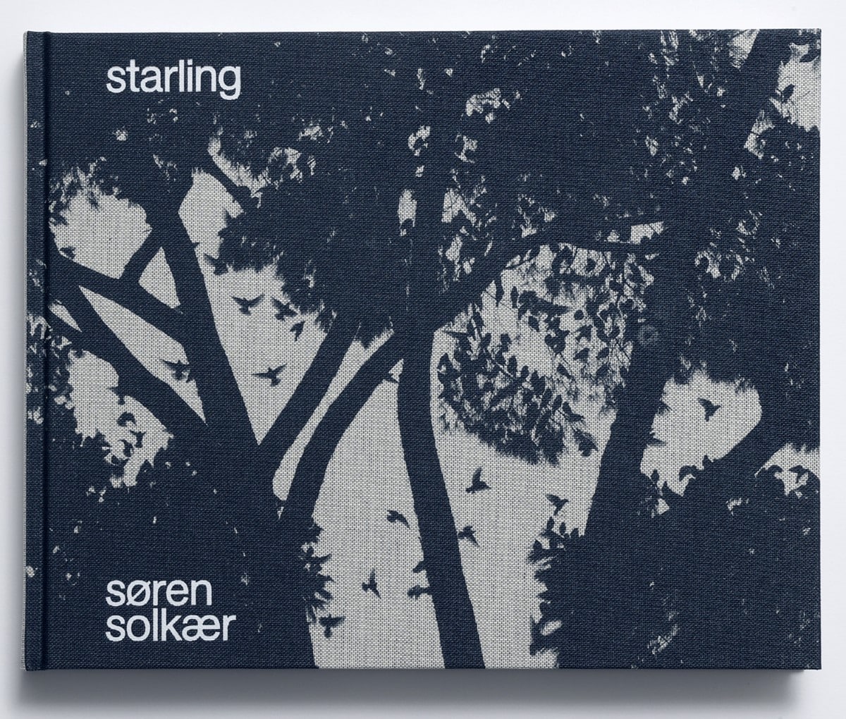 Starling by Søren Solkær